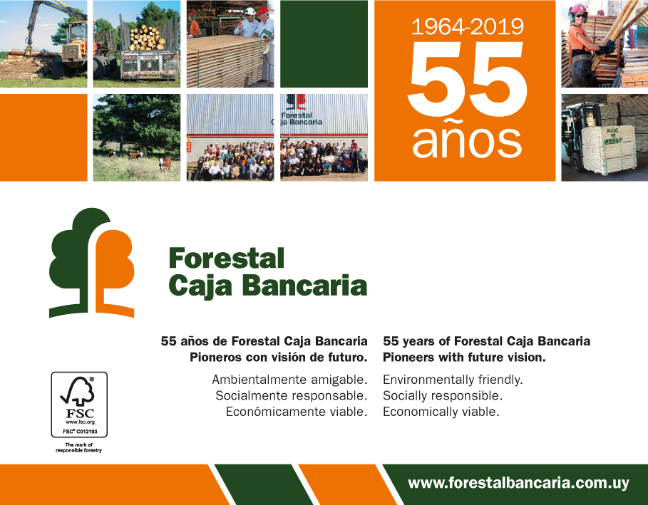 Lee más sobre el artículo 55 Años de Forestal Bancaria