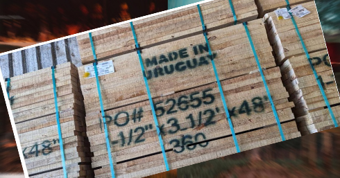 Lee más sobre el artículo ¡Uruguay avanza en la exportación de madera aserrada con estándares europeos de sostenibilidad!