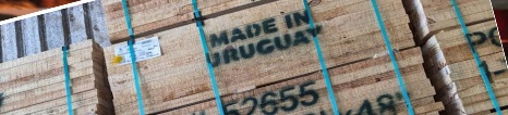 Lee más sobre el artículo Tras la entrada en vigor de la normativa de la UE sobre productos libres de deforestación, Uruguay realiza su primera exportación de madera aserrada cumpliendo con estos rigurosos estándares.