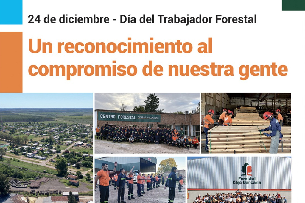24 de diciembre: Día del Trabajador Forestal, un reconocimiento al compromiso de nuestra gente
