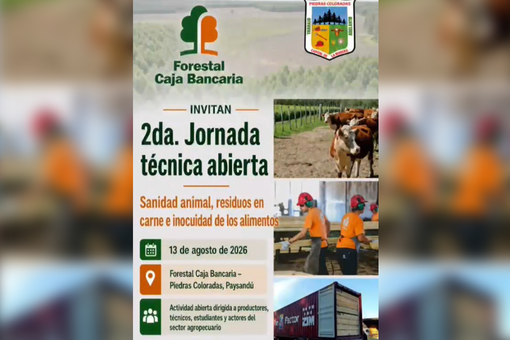 Importante participación en la 2.ª Jornada Técnica Abierta